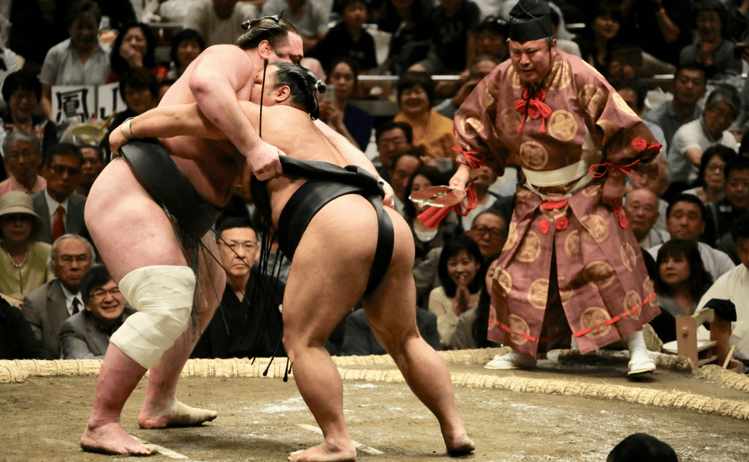 Sumo